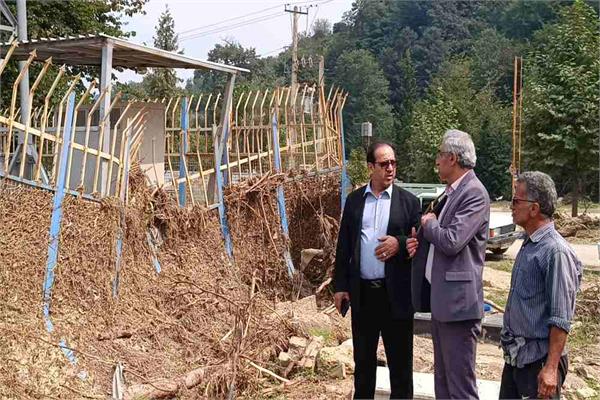 پایداری شبکه ارتباطات در برابر بلایای طبیعی؛ بازگشت سریع خدمات مخابراتی به روستای زرین‌آباد علیا ساری پس از وقوع طوفان