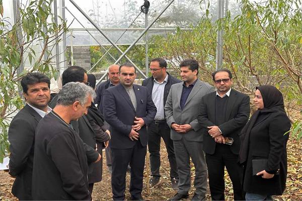 تدوین سند هوشمندسازی گلخانه‌ها در حال انجام است